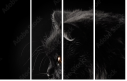 39713173