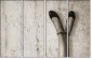 40085175