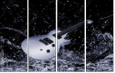 41836378