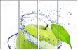 42523876