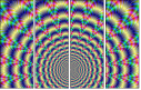 43418541