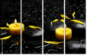43880281