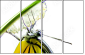 44679167