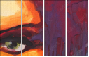 45492260
