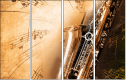 45515921