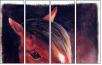 46243808