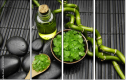 46925109