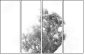 47020348