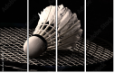 47111850