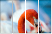48485872
