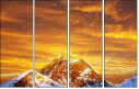 48905885