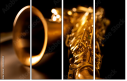 49029894