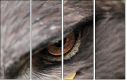 49245808