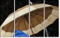 49306047