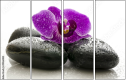 49566180