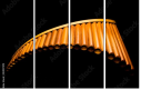 50197019