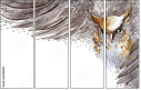 50509602