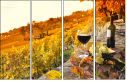 50713543