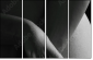 51083503
