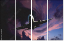 51192902