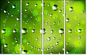 51217403