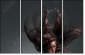 52116617