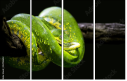 52158652