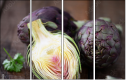 52349842