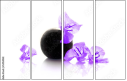 54154961