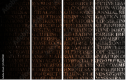 54969981