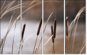 55661015