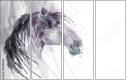 55806223