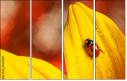 55820987
