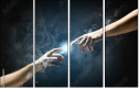 55886651