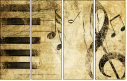 5643987