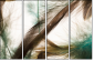 56562123