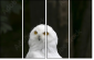 57060206