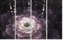 57185040