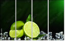 57479075