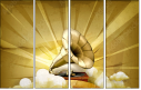 57686954