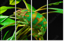 57907029