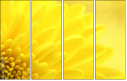 57915870