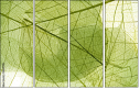 58647115