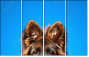 58783058