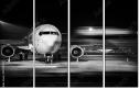 59420364