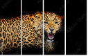 59934153