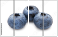 60359707