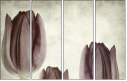 60858955