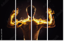 61751589
