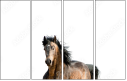 62618176